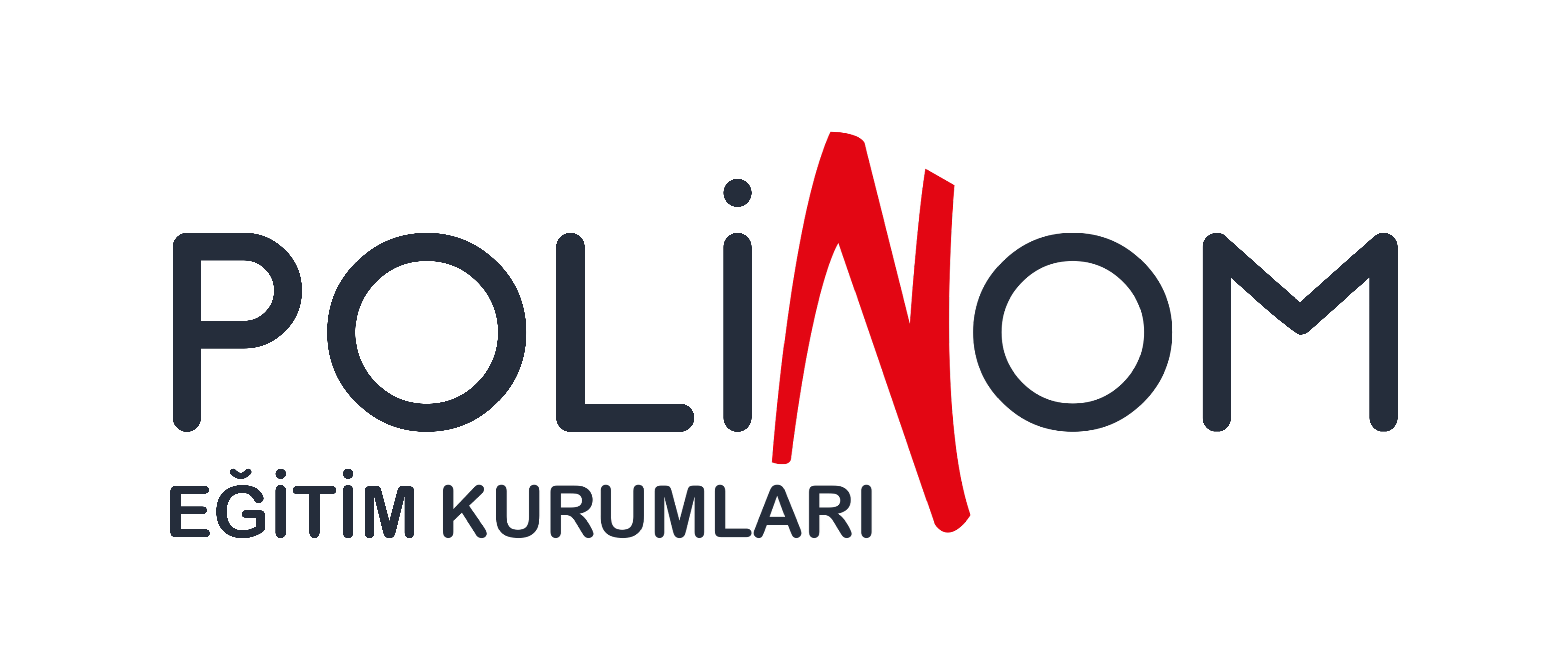 Polinom Eğitim Kurumları Logosu